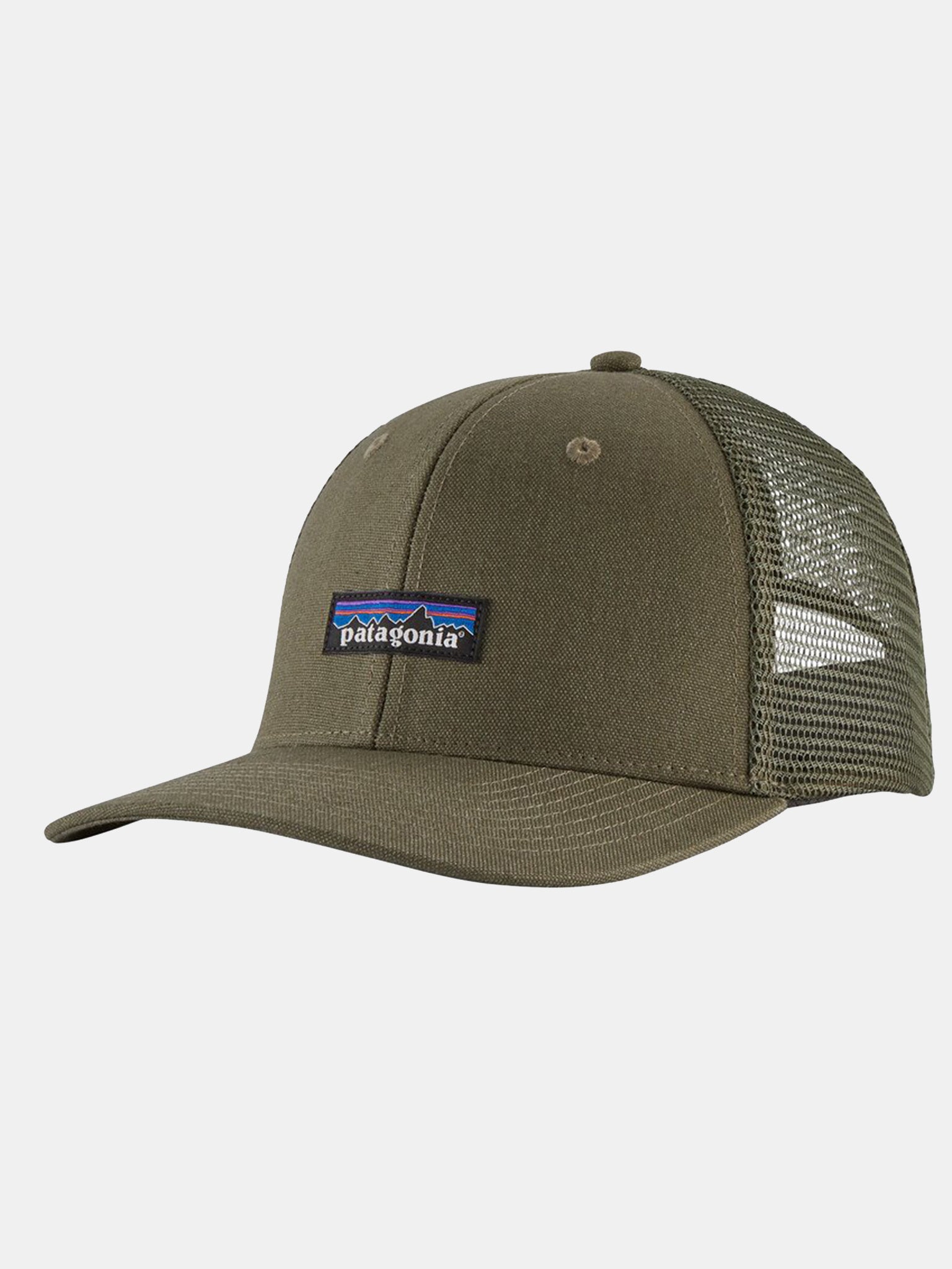 Patagonia tin shed store mesh cap