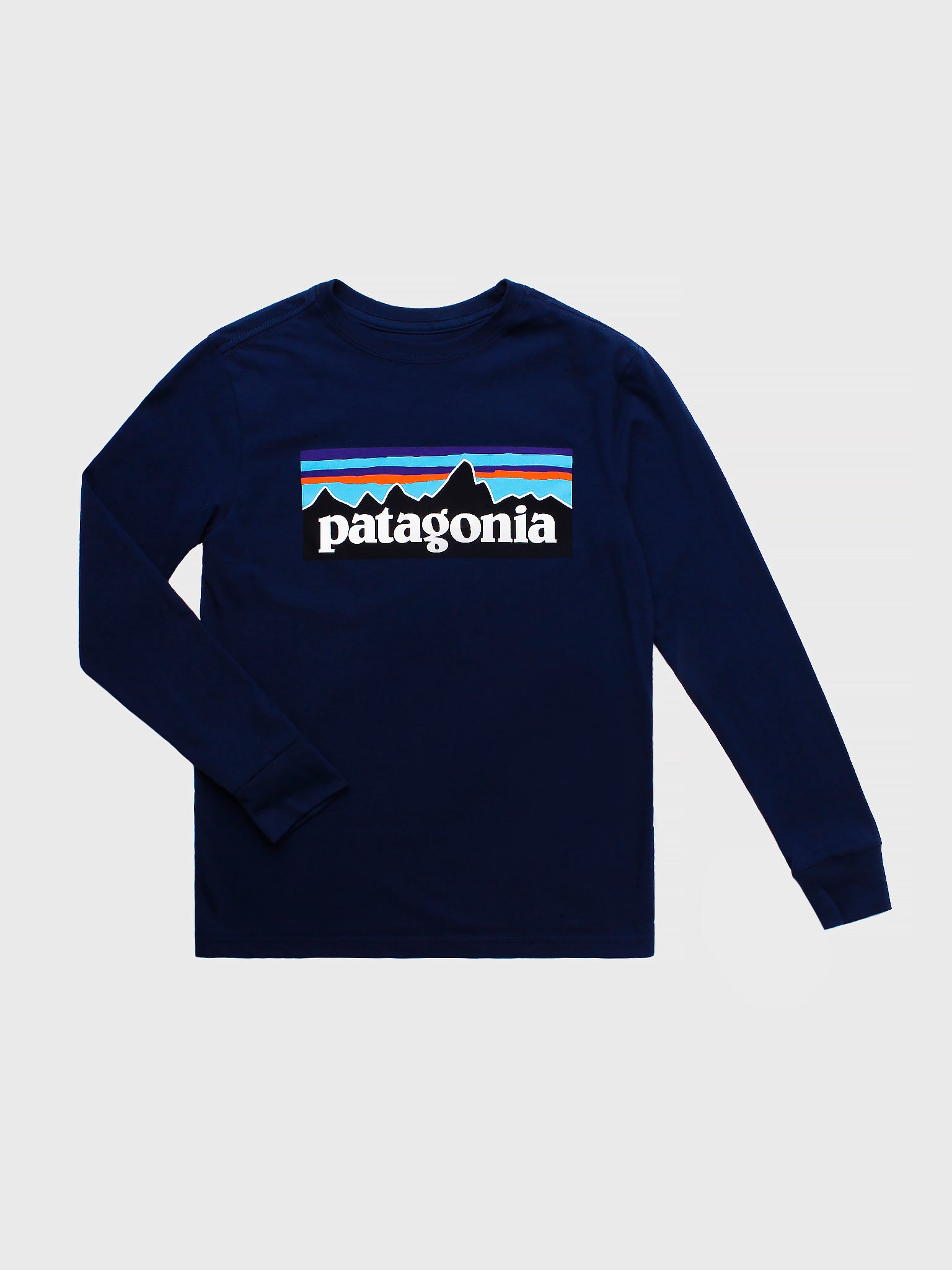 Boys on sale patagonia tshirt