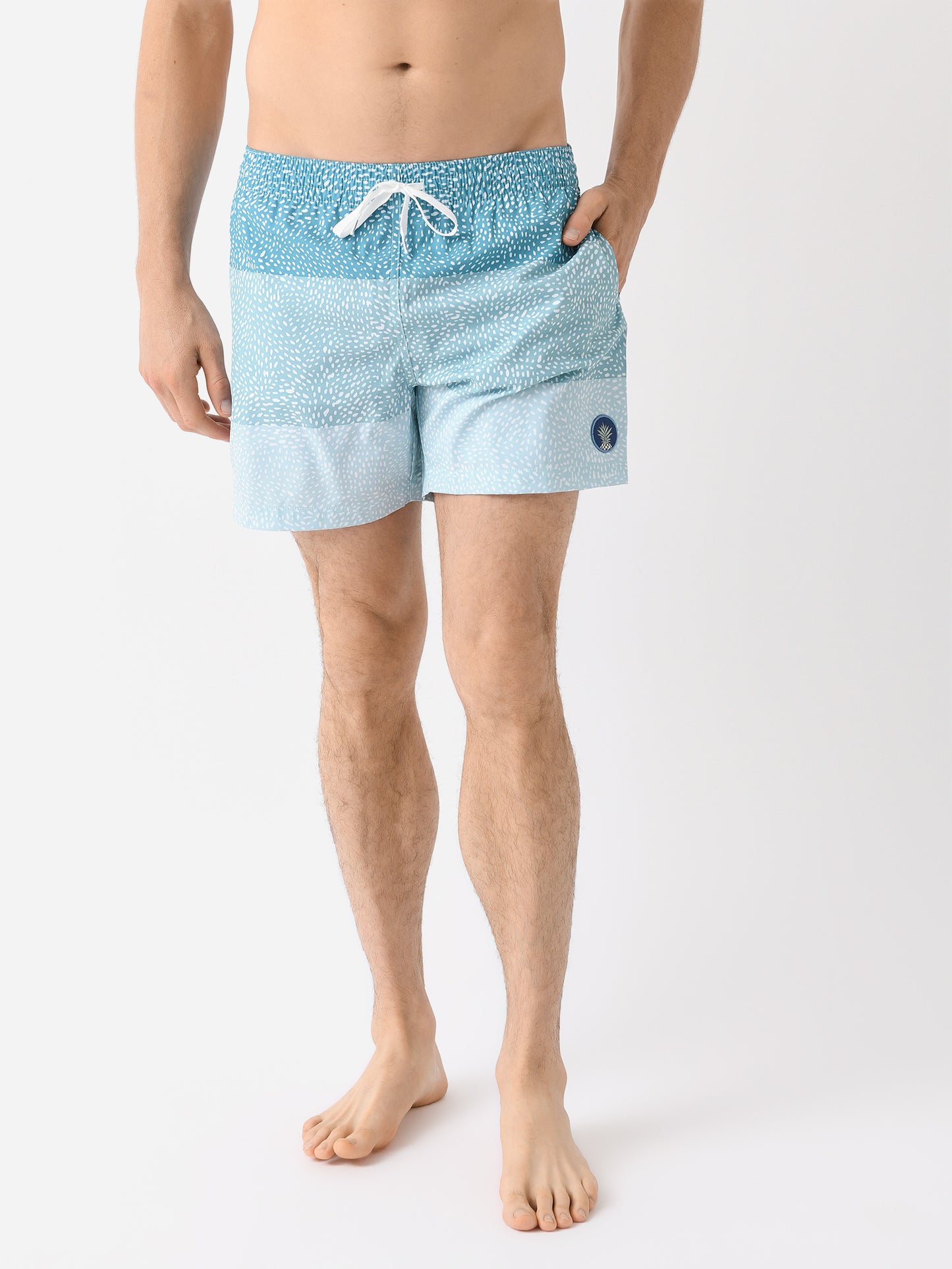 Chubbies Men's The Whale Sharks 5.5" Lined Swim Trunk