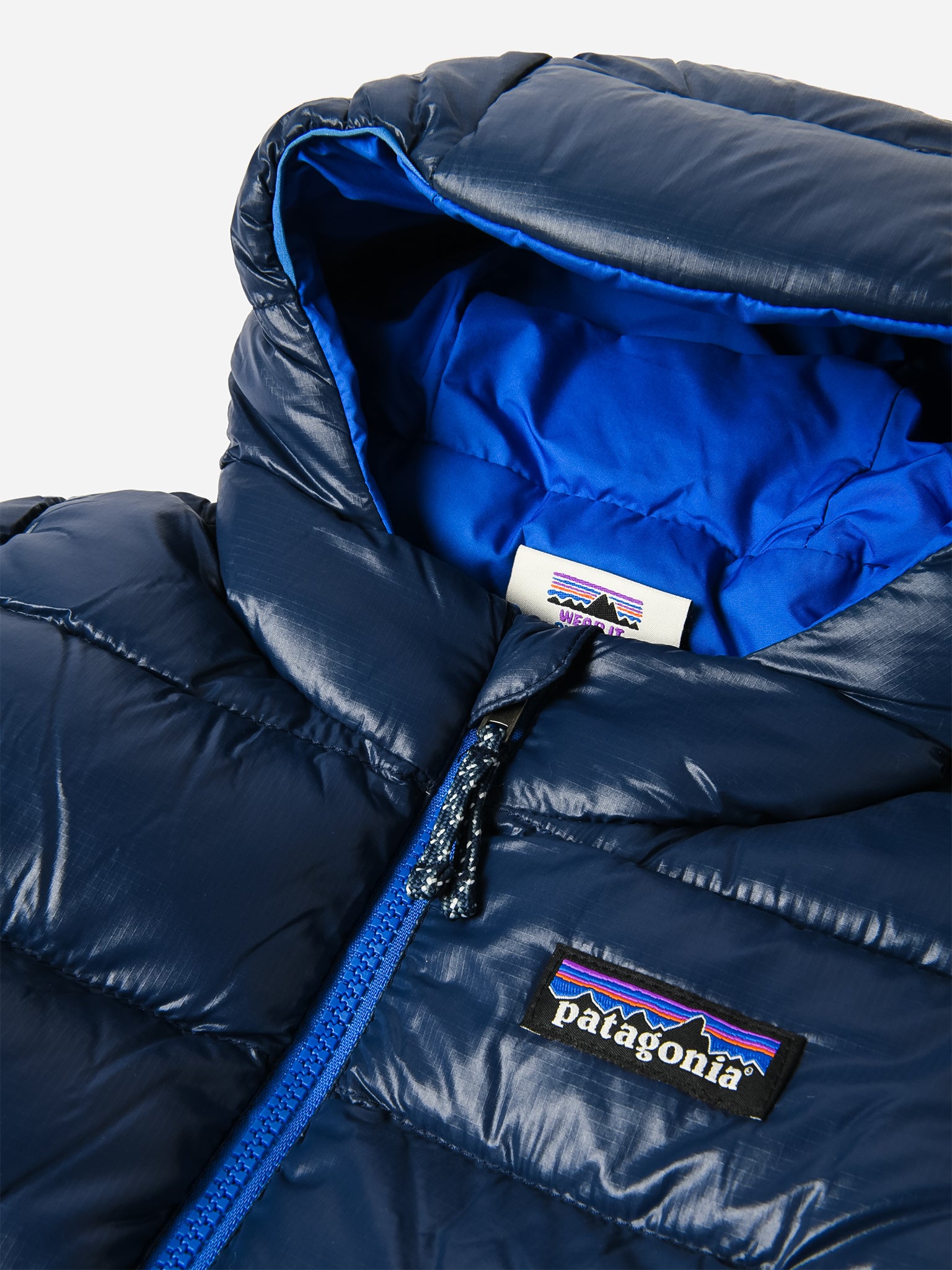 Patagonia hi store loft down jacket