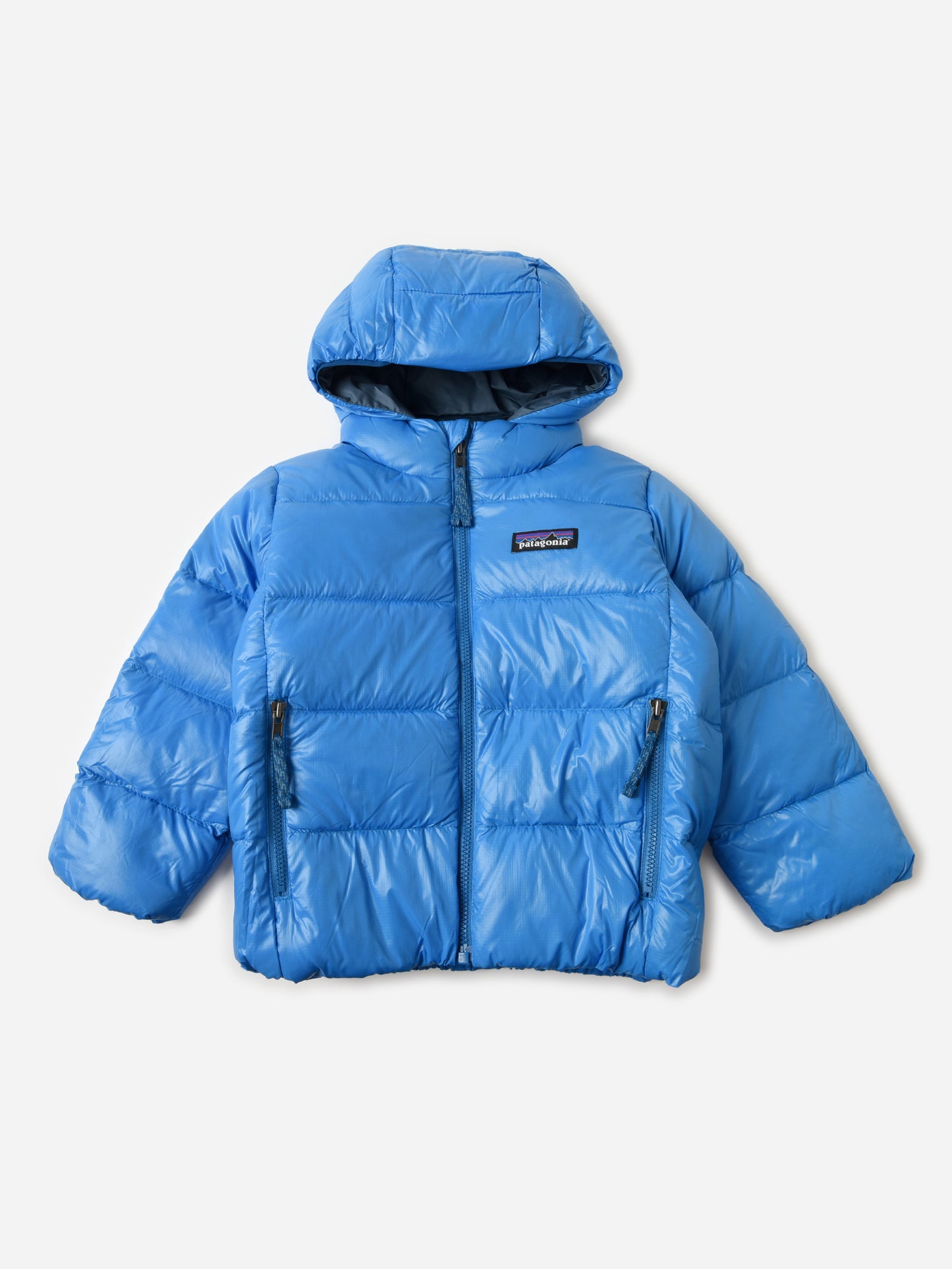 Patagonia Kids' Hi-Loft Down Sweater Hoody