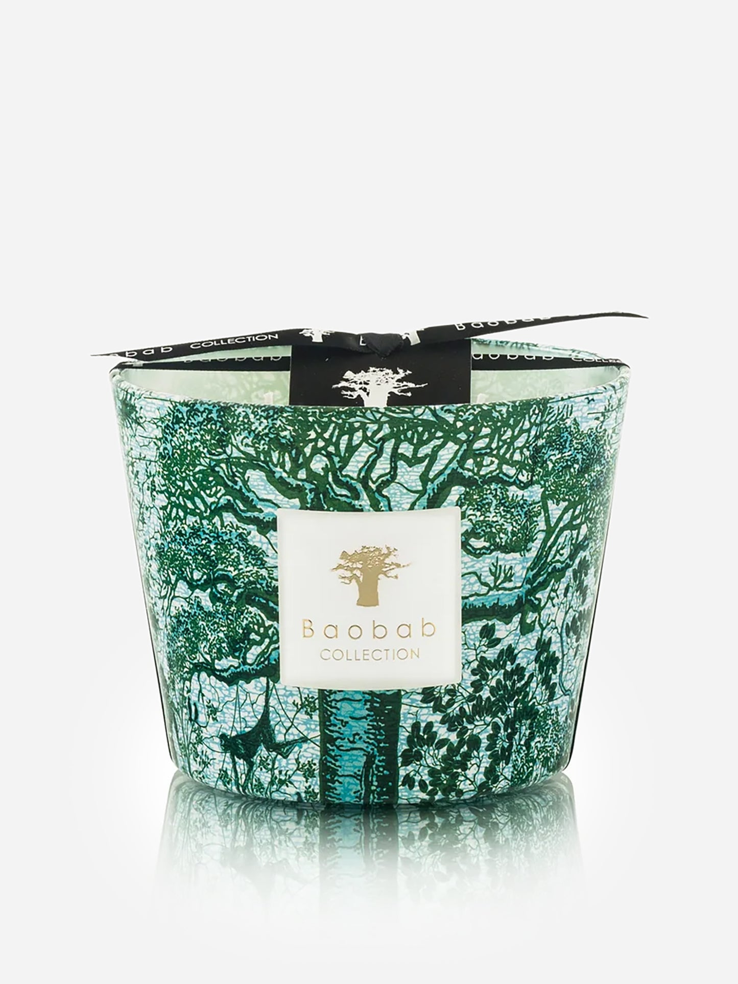 Baobab Collection Max 10 Candle