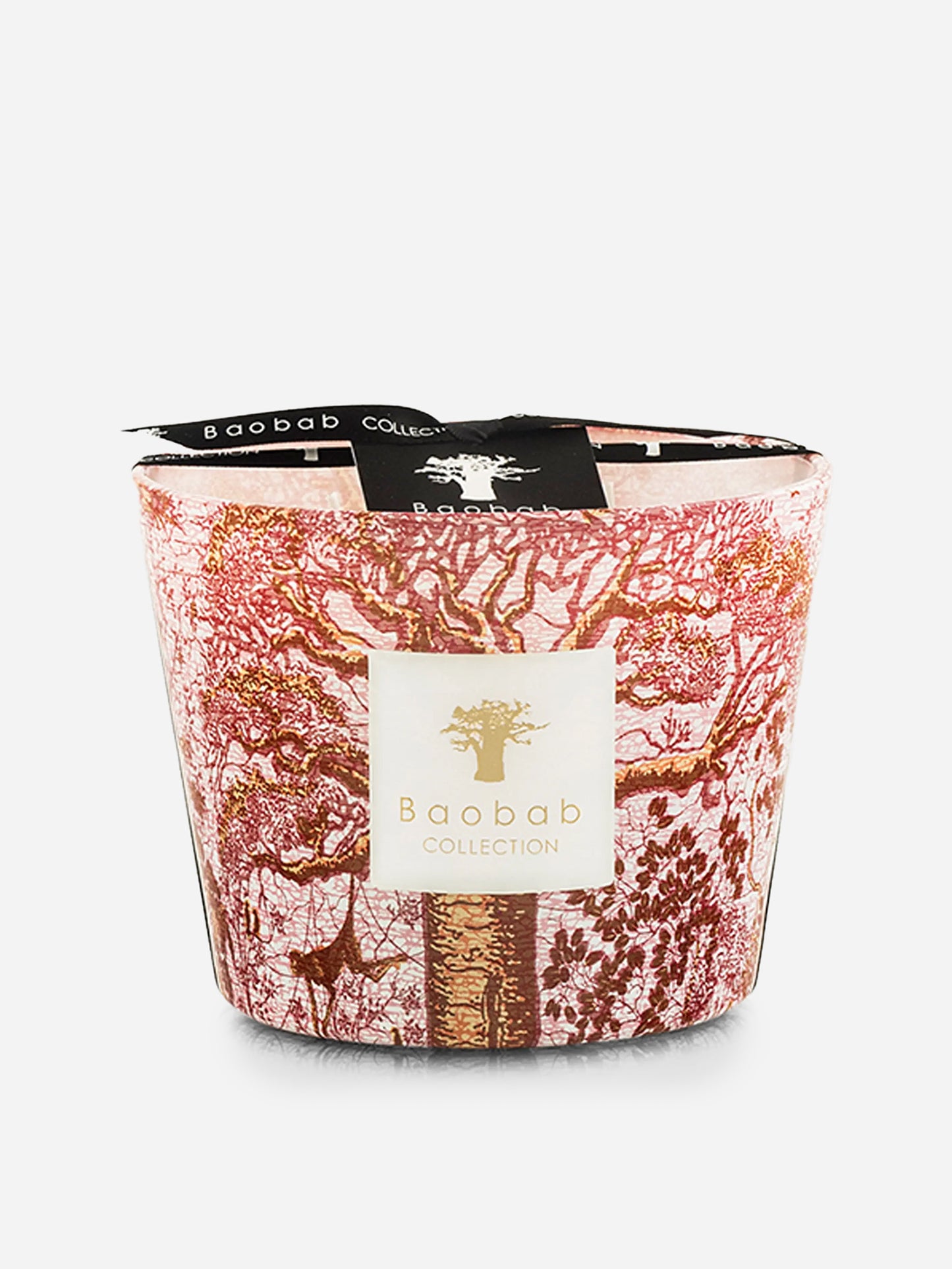 Baobab Collection Max 10 Candle