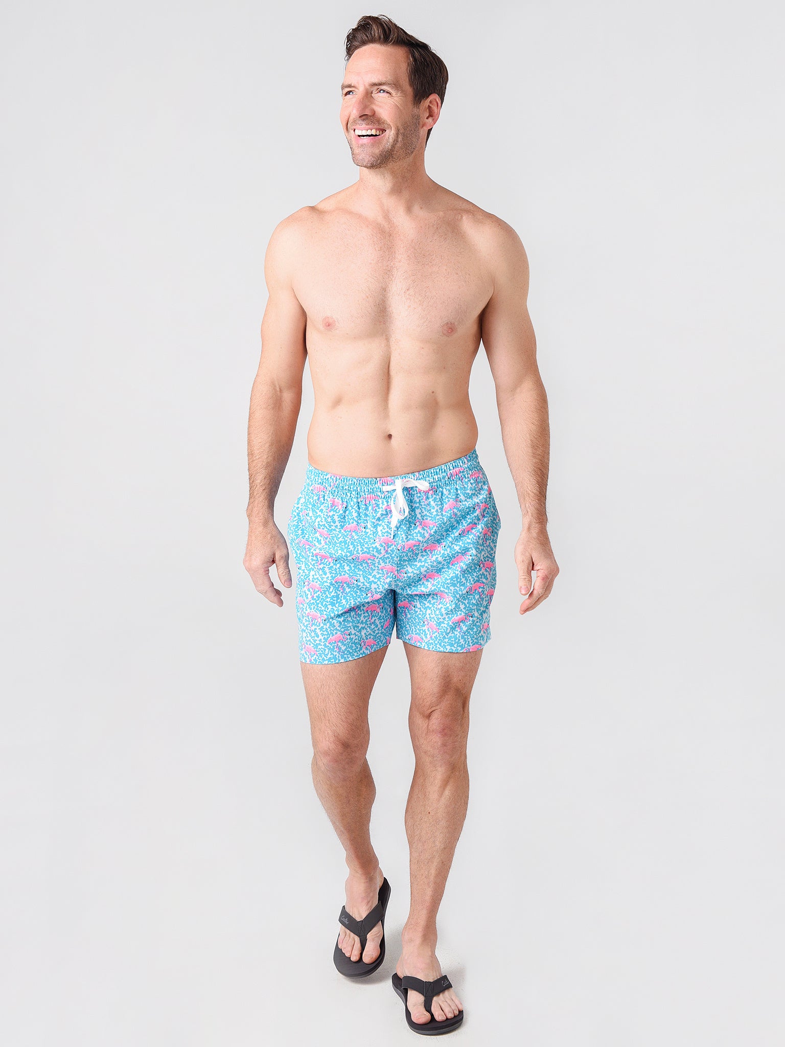 Chubbies flamingos on sale