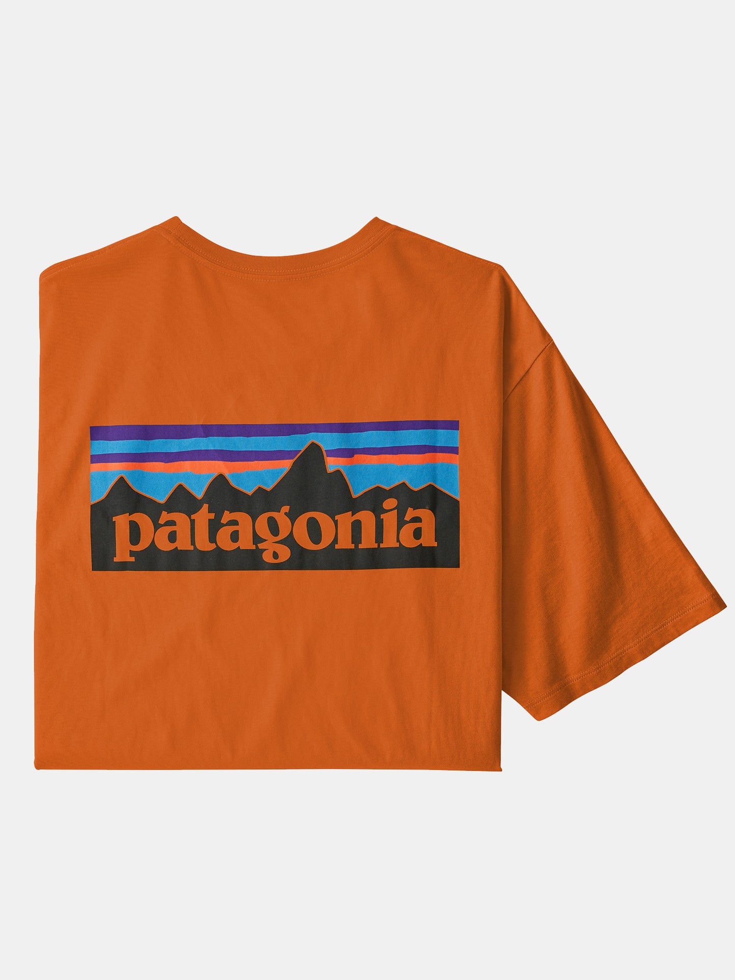 Patagonia Men's P-6 Logo Organic T-Shirt