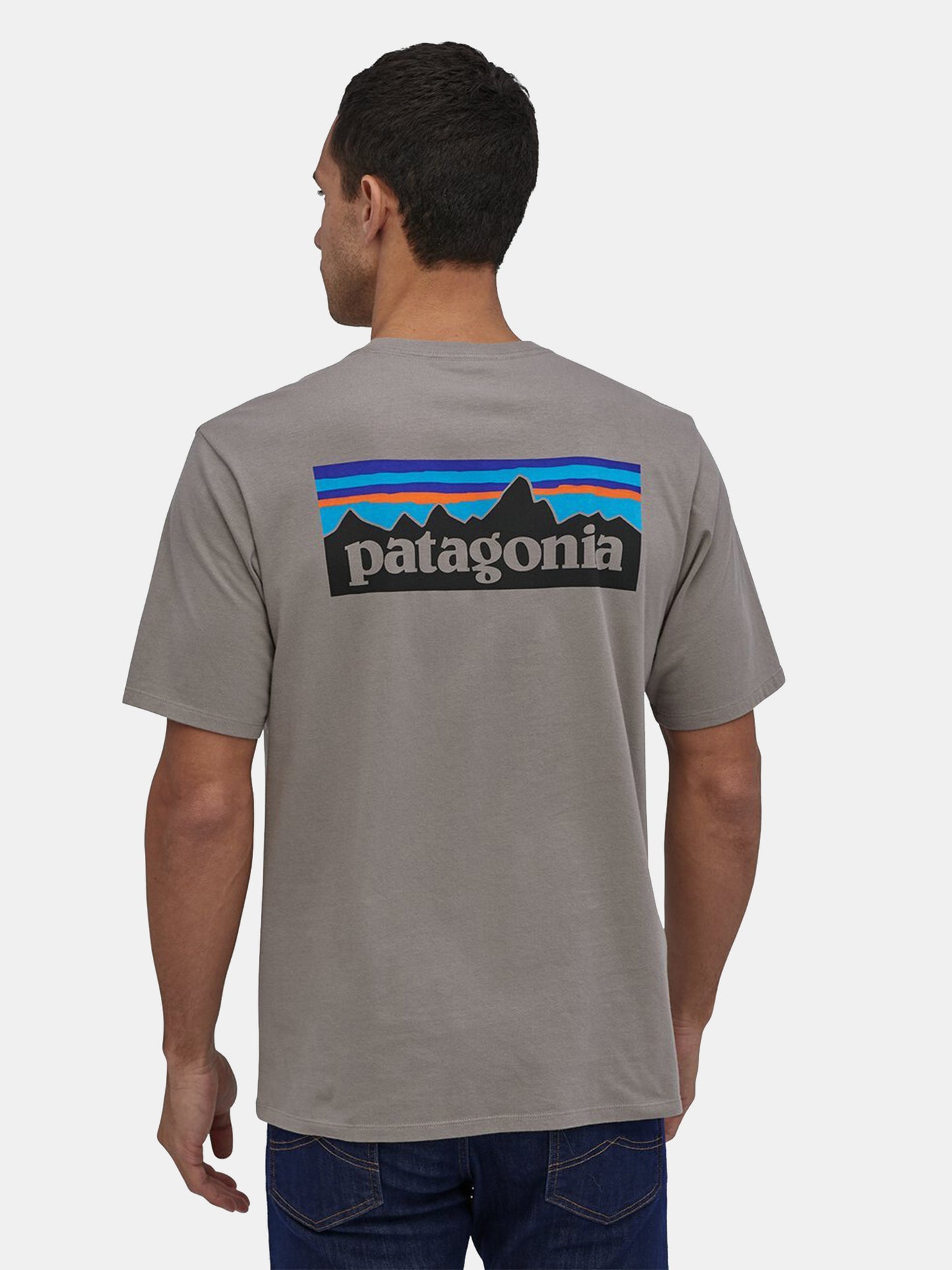 Patagonia Men's P-6 Logo Organic T-Shirt