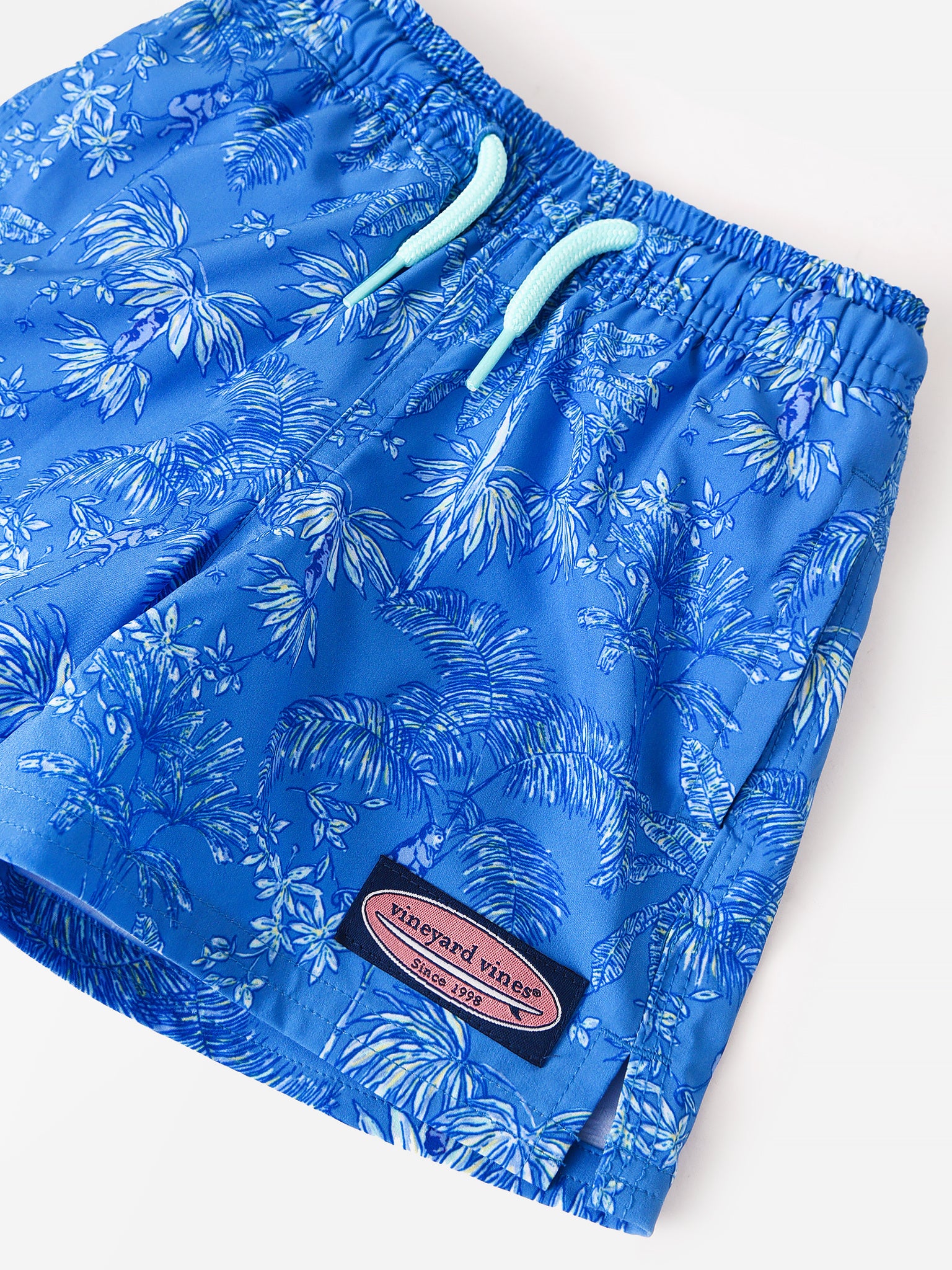 Vineyard Vines Boys’ Printed Chappy Swim Trunk