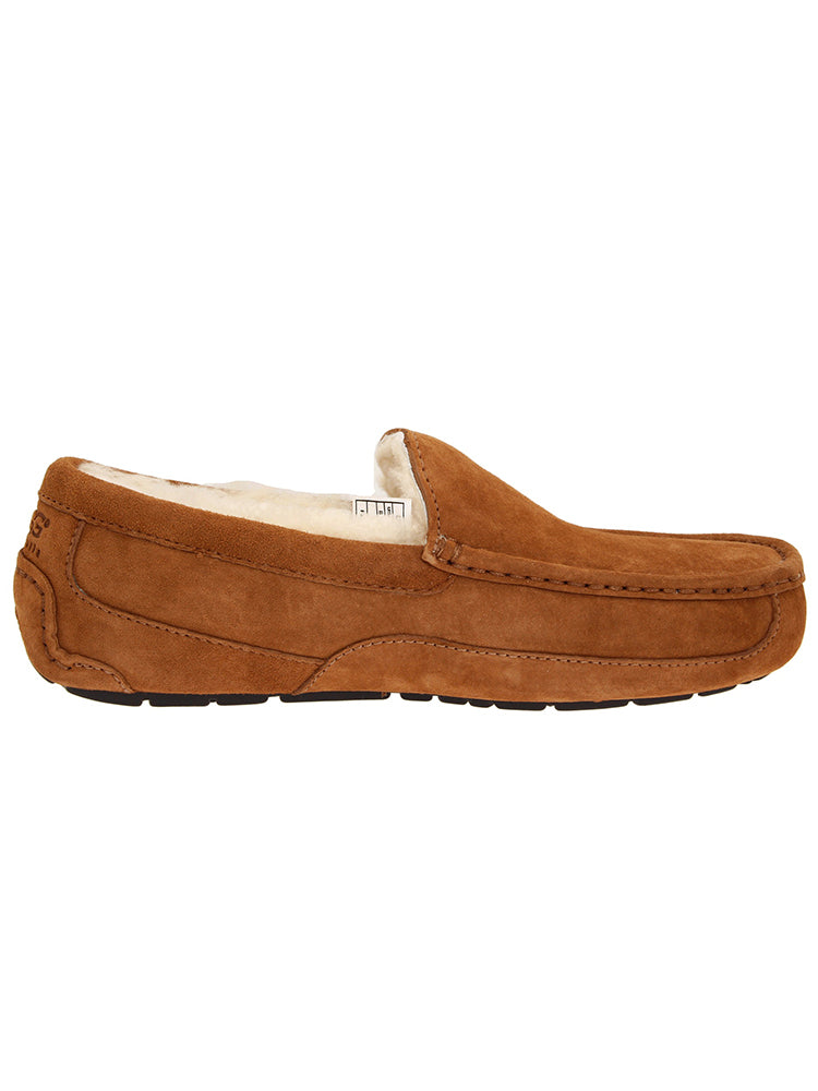 Ugg ascot discount slipper mens sale