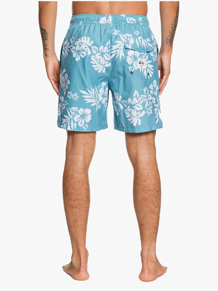 Quiksilver waterman cheap swim trunks