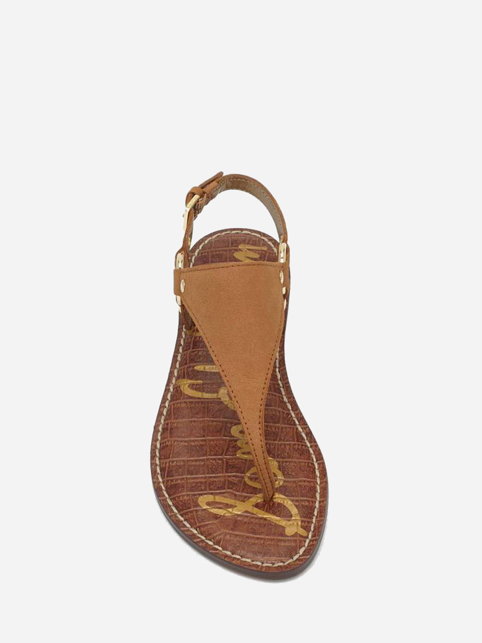 Sam Edelman Greta Thong Sandal saintbernard