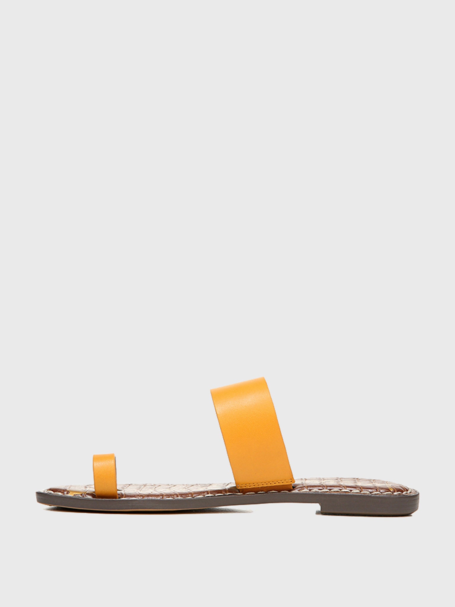 Sam Edelman Gorgene Slide Sandal saintbernard