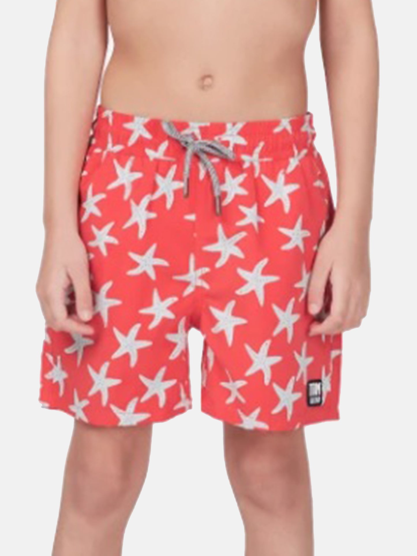 Tom & Teddy Boys' Starfish Swim Trunks