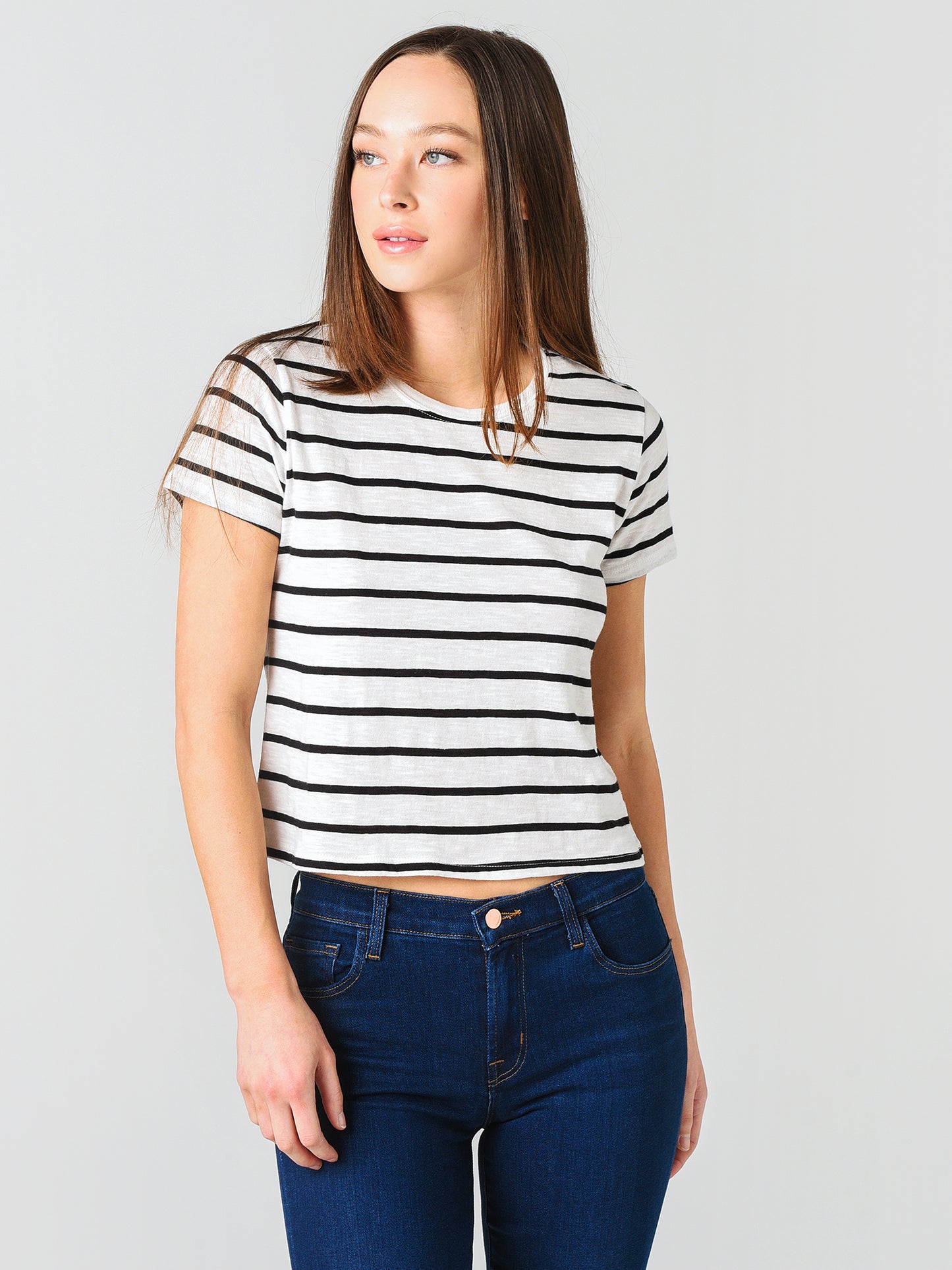 Z Supply The Desert Stripe Baby Tee