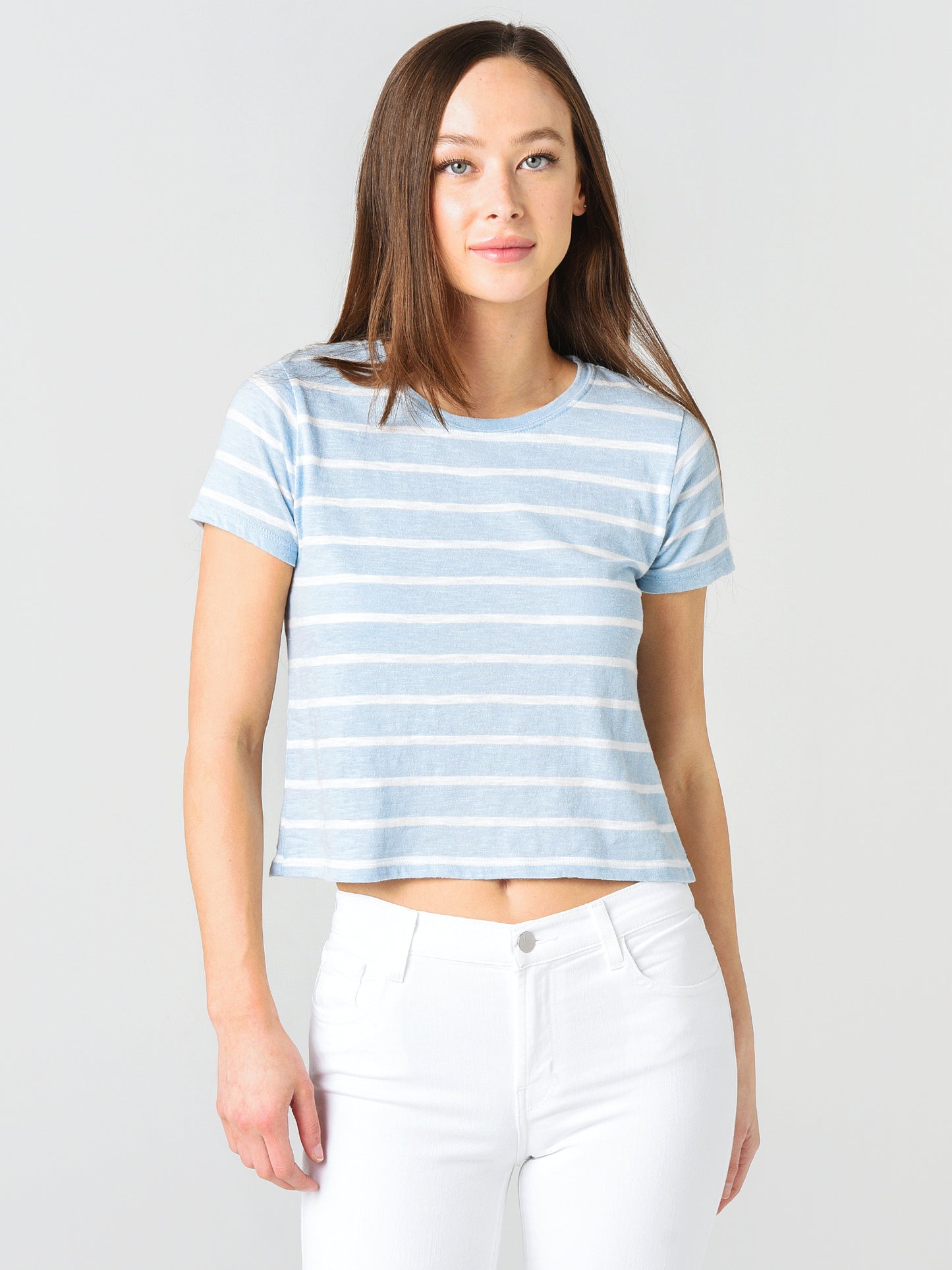 Z Supply The Desert Stripe Baby Tee