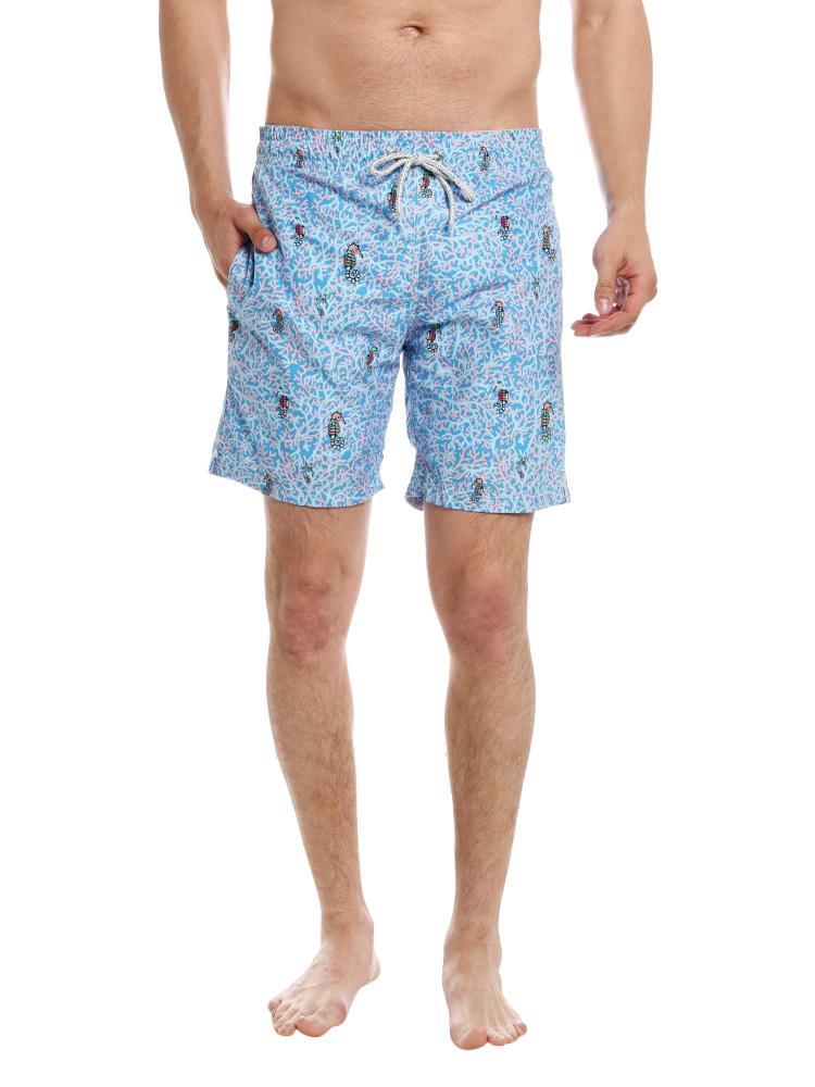 Michaels Swimwear Seahorses – saintbernard.com